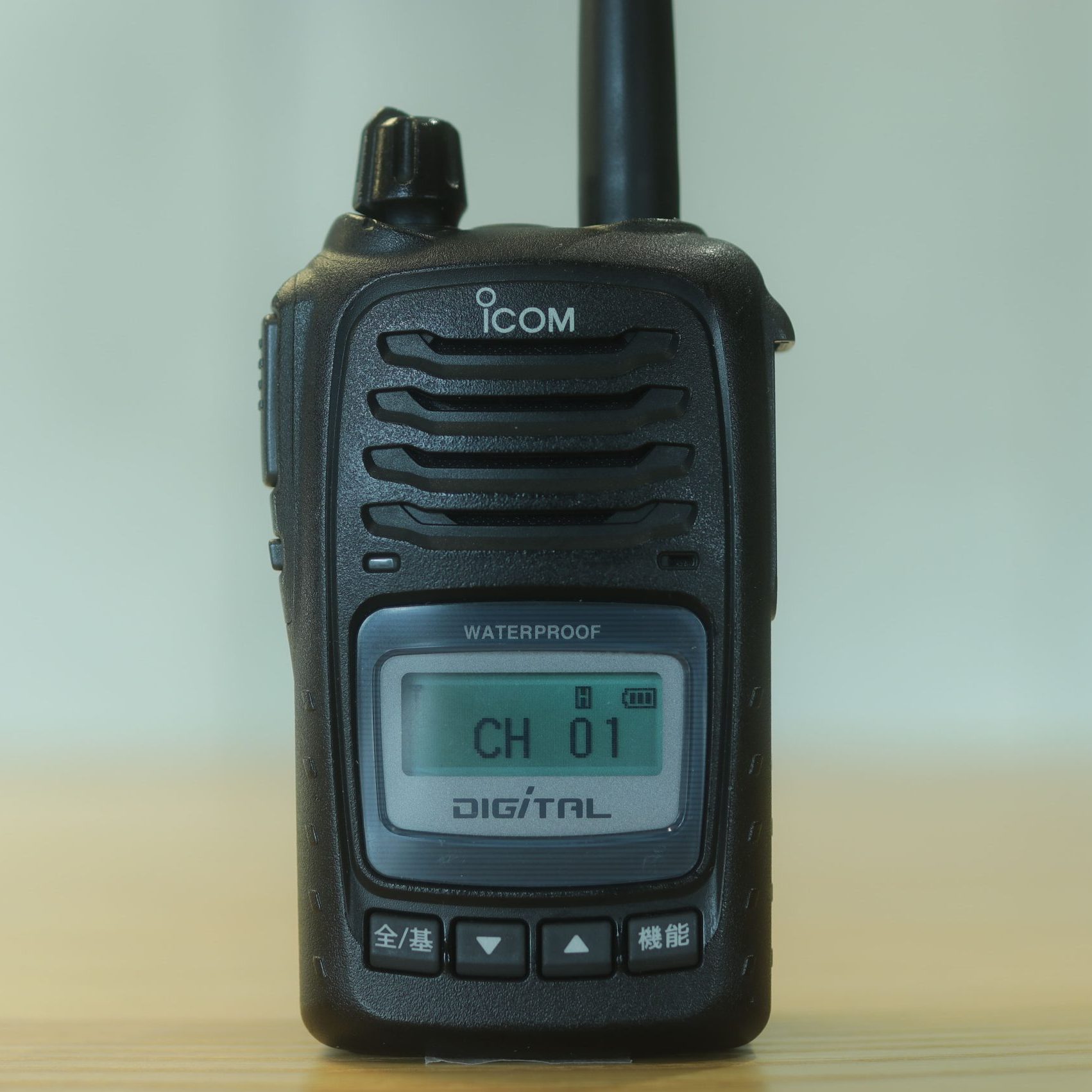 icom IC-D50-画像2