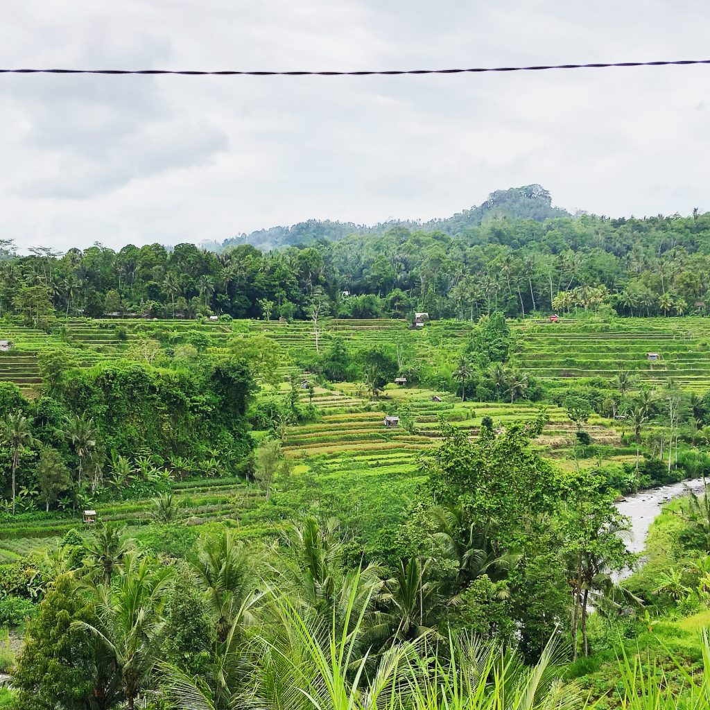 bali
indonesia
sobek telaga waja